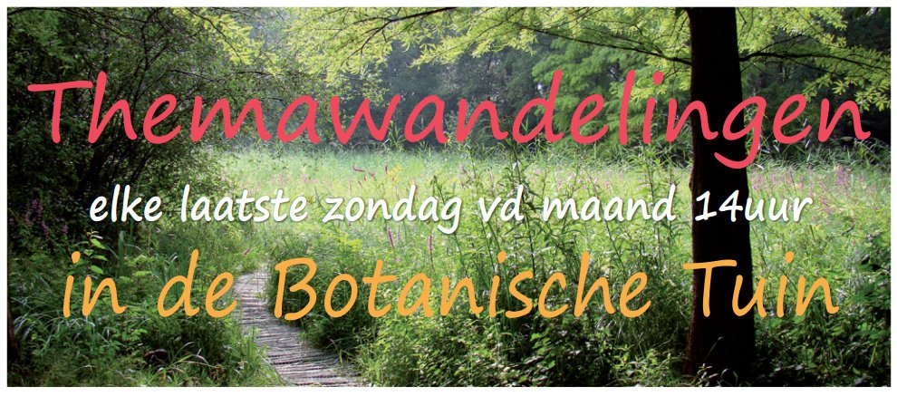 kopfotofacebook