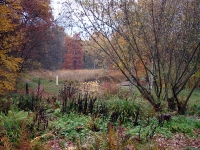 dsc06846a