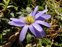 dsc04817uit