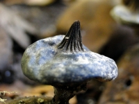 DSC00677uit