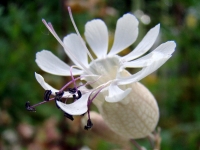 dsc00632a
