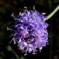 dsc09441uit