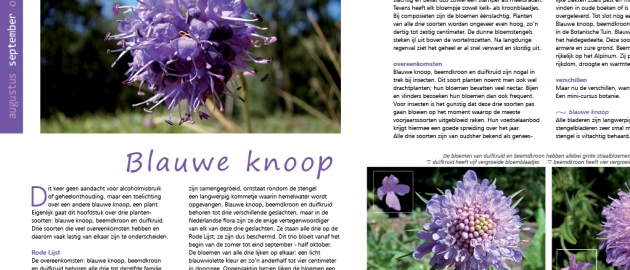 los4september-blauweknoopuit1