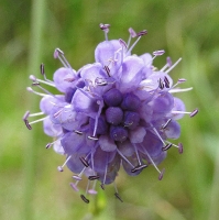 dsc08930uit
