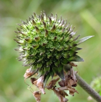 dsc08935uit
