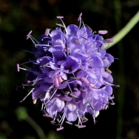 dsc09441uit