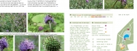 los4september-blauweknoop3uit