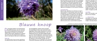 los4september-blauweknoopuit1