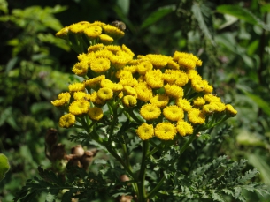 ydsc03803a
