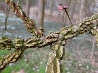 dsc07488uit