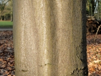dsc00831uit2