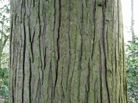 dsc00843uit2