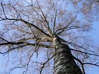 dsc00863a