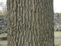 dsc00932uit2