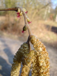 dsc06321uit