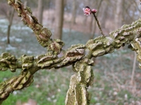 dsc07488uit