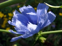 dsc02617uit