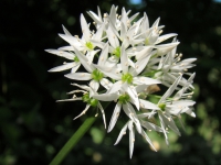 dsc00536uit