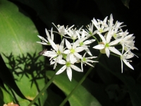 dsc00558uit