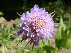 dsc00709uit