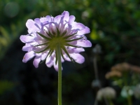 DSC01765uit
