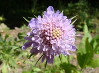 dsc00709uit