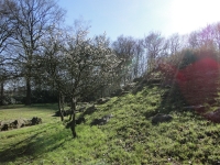 landschapjpg35
