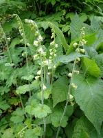 dsc07931a