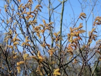 dsc05536