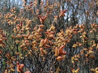 dsc05574