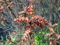 dsc09707uit