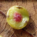 dsc05548uit2