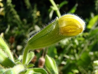 dsc04826uit