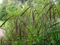 hangendezeggeDSC09011.JPG