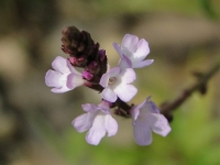 dsc08705uit