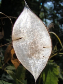 DSC02005