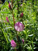DSC03228a
