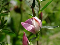 DSC09748uit