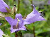 DSC08895uit