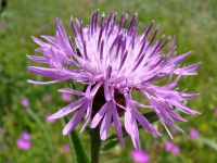 dsc00717uit