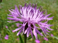dsc00717uit