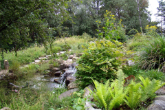 landschap Btuin