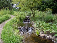 dsc03625a