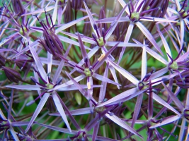 ydsc00152a