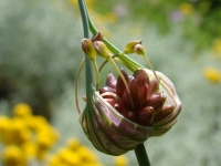 dsc03165uit