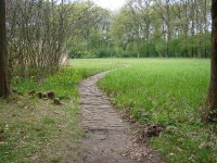 cdsc00102a - 15 april