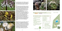 4maart-hoefblad2