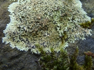 dsc07935uit