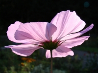 dsc05752uit