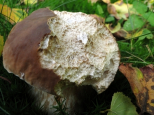 DSC09818uit